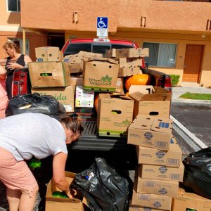 comida-saludable-donacion-ncs