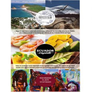 flayer-proyecto-tulum