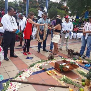 pueblos-y-nacionalidades-indigenas